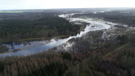 Gudenåen ved kongensbro