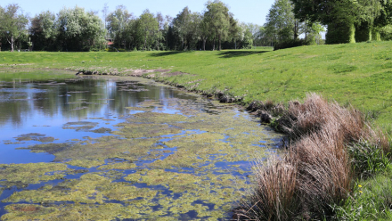 Regnvandsbassin