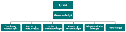Politisk organisering