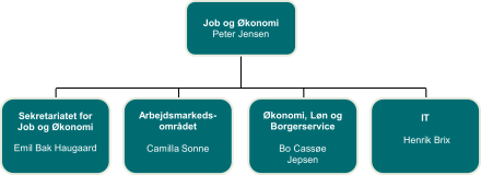 Organisationsdiagram viser job og økonomi