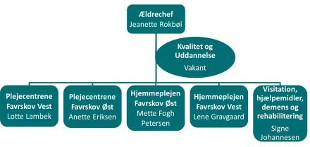 Diagram viser ældreområdet