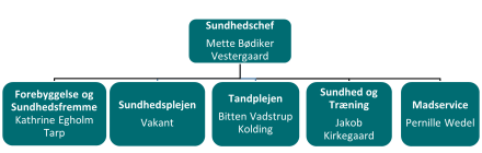 Organisationsdiagram viser Sundhedsområdet