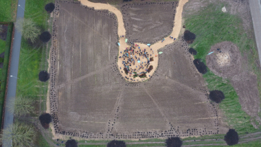Dronefoto af skovrejsning