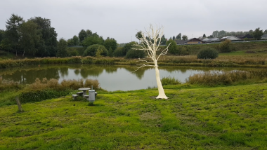 Lynet i søen - træ i Thorsø - kunstværk