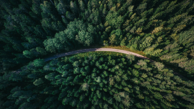 dronefoto af skov