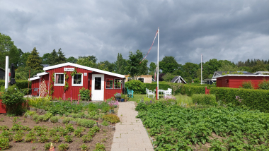 Kolonihaven Lykkebo i Hadsten