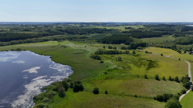 Skov ved Lading Sø