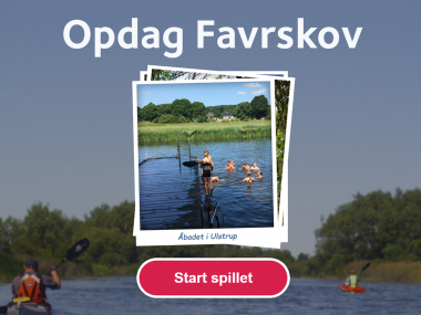 Naturbillede fra Favrskov