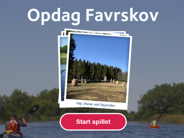 Naturbillede fra Favrskov - Høj Stene
