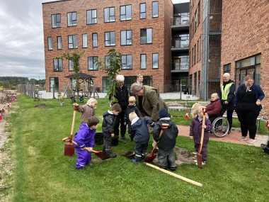 Plant et træ på Anlægget og Solhøj