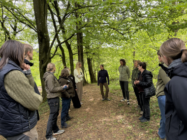 Workshop i skoven