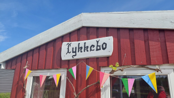 Kolonihaven i Hadsten