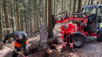 Vildtbanesten i Hammel