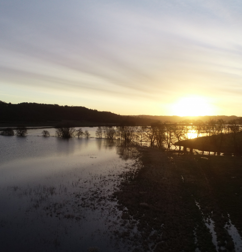 Dronefoto af sø ved Hammel